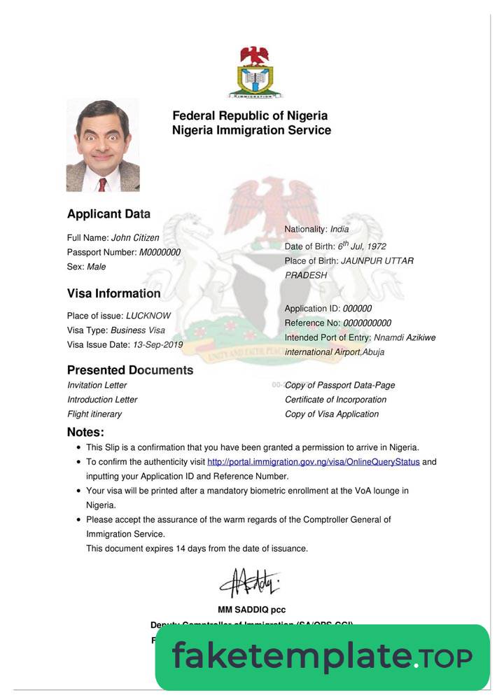 Feature of fake NIGERIA e-visa example